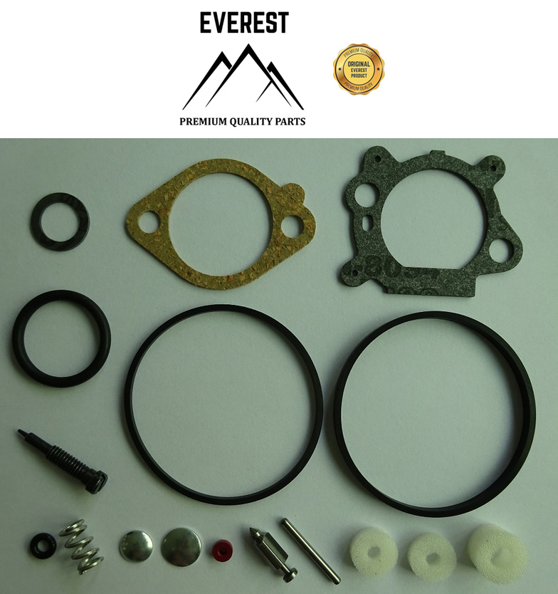 KIT REPARATIE BRIGGS&STRATTON QUANTUM 492495, 493762, 498260 EVEREST