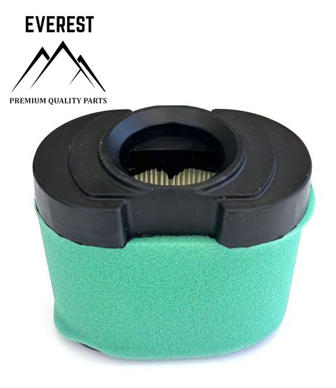 FILTRU DE AER BRIGGS&STRATTON INTEK 2 CILINRI TIP NOU EVEREST