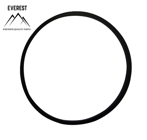 TESNENIE BRIGGS&STRATTON 693981 EVEREST