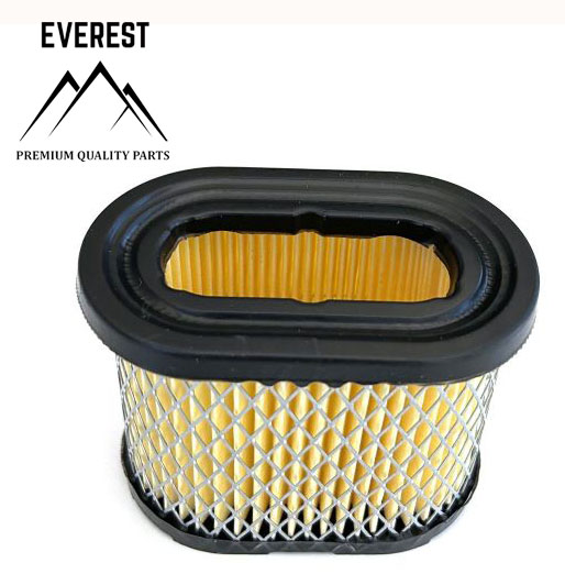 LUFTFILTER BRIGGS&STRATTON INTEK 5PS-6PS EVEREST