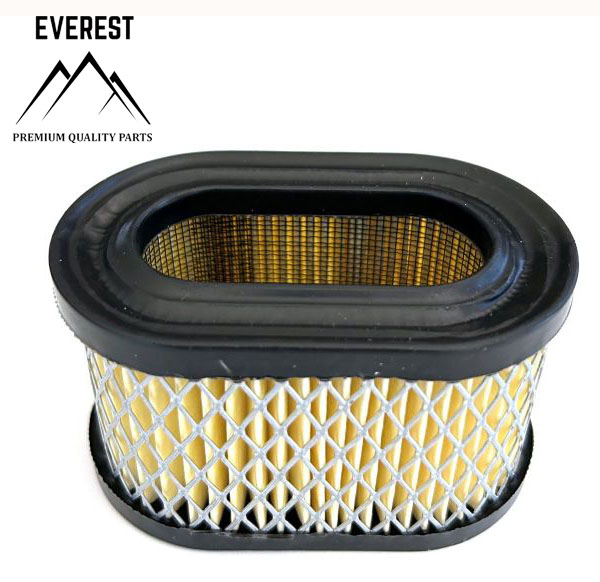 LUFTFILTER BRIGGS&STRATTON QUANTUM NIEDRIG EVEREST