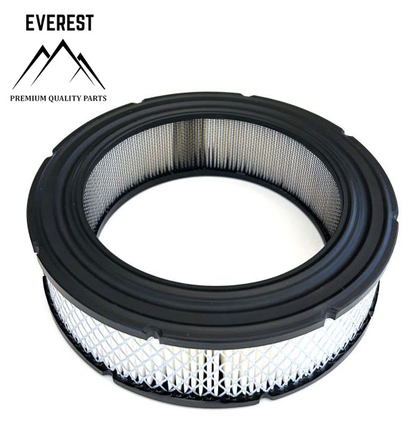 LUFTFILTER BRIGGS&STRATTON VANGUARD 692519 EVEREST