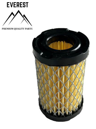 LUFTFILTER TECUMSEH TVS EVEREST