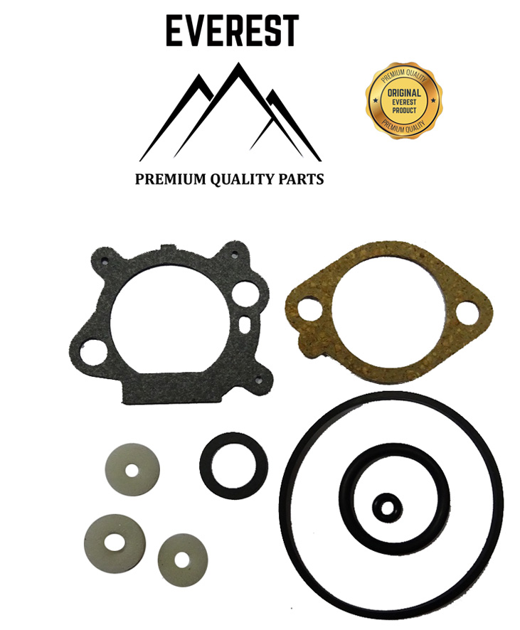 DICHTUNGSSATZ BRIGGS&STRATTON QUANTUM EVEREST