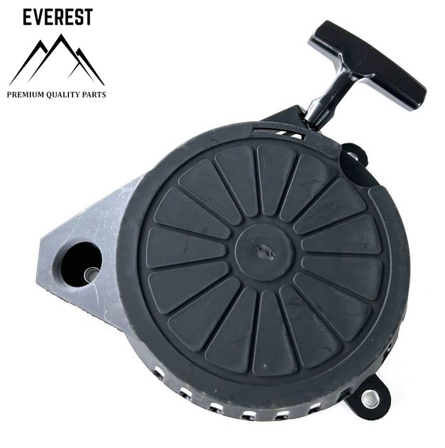 ANLASSER CHINA-RASENMÄHER NAC LP40-300-PL-DE, MEX40-350, LP3390, GAMA EVEREST